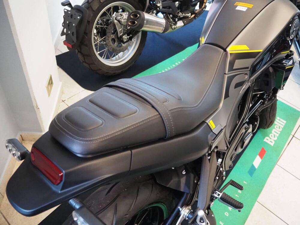 Benelli Leoncino 250 (2021 - 25) (7)