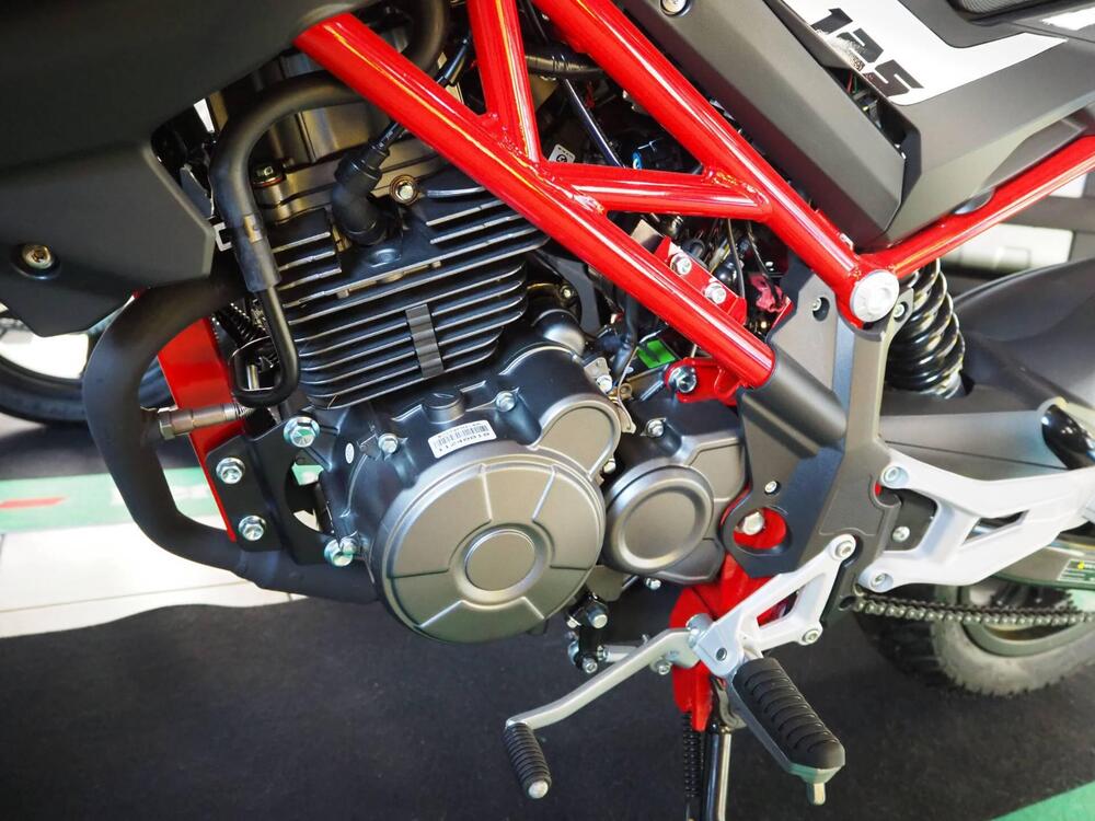 Benelli Tornado Naked T 125 (2022 - 25) (4)