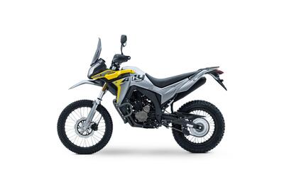 Voge Valico 300 Rally (2022 - 25) nuova