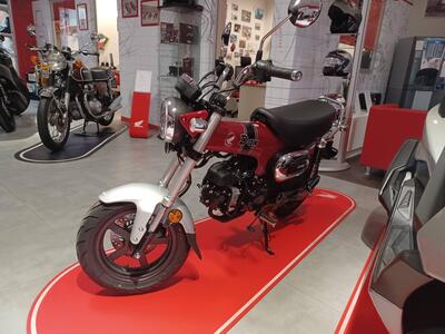 Honda Dax 125 (2023 - 24) nuova