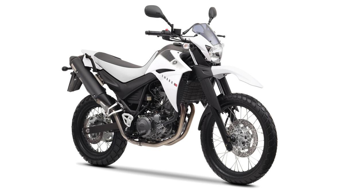 Yamaha XT 660 R (2004 - 16)
