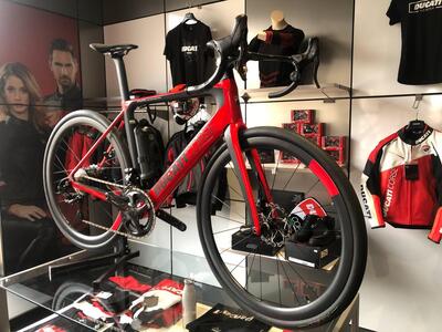 Ducati Futa Limited Edition (2022 - 25) nuova