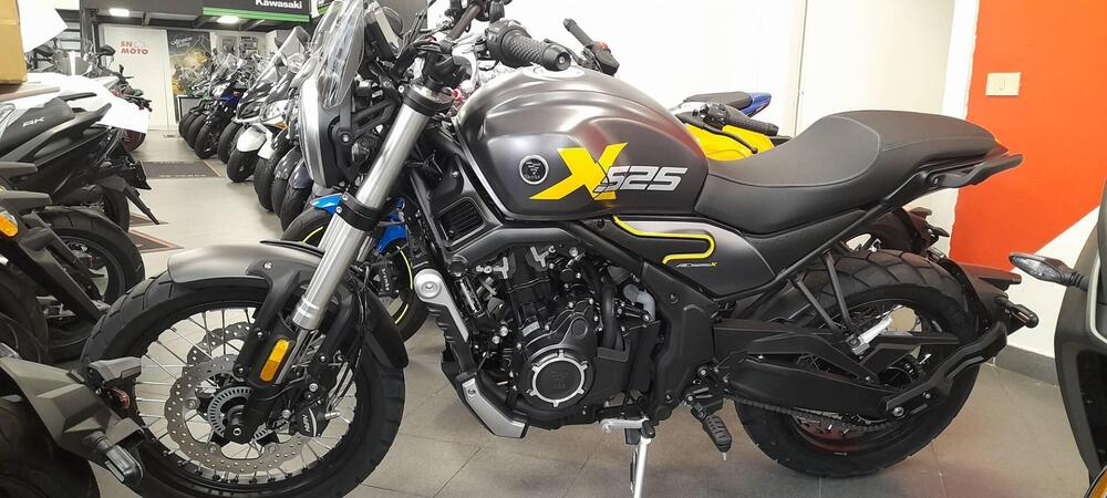 Voge Trofeo 525ACX Scrambler (2023 - 25) (6)