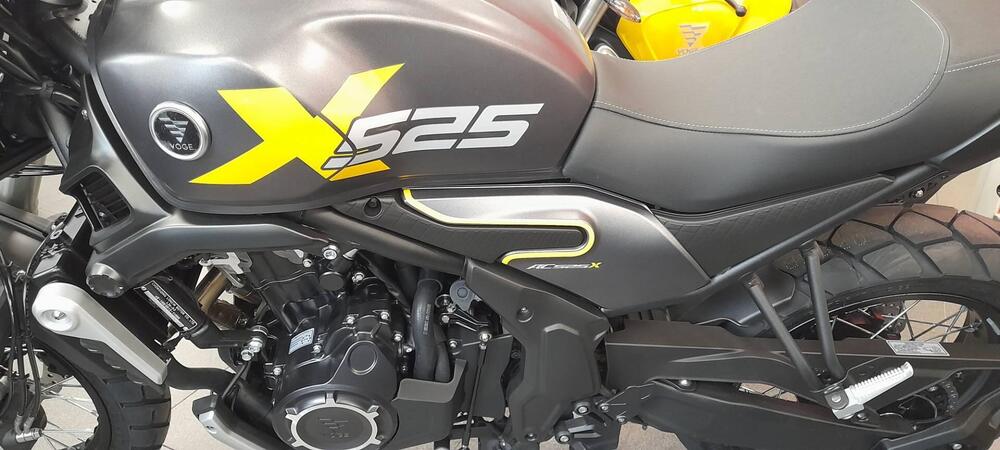 Voge Trofeo 525ACX Scrambler (2023 - 25) (7)