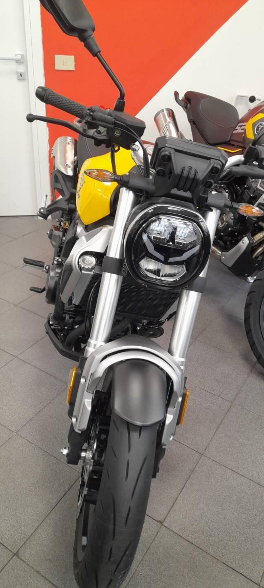 Voge Trofeo 350AC (2022 - 25) (5)