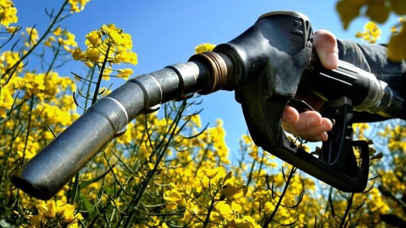 Carburanti fantastici e dove trovarli: Eni HVOlution, diesel rinnovabile