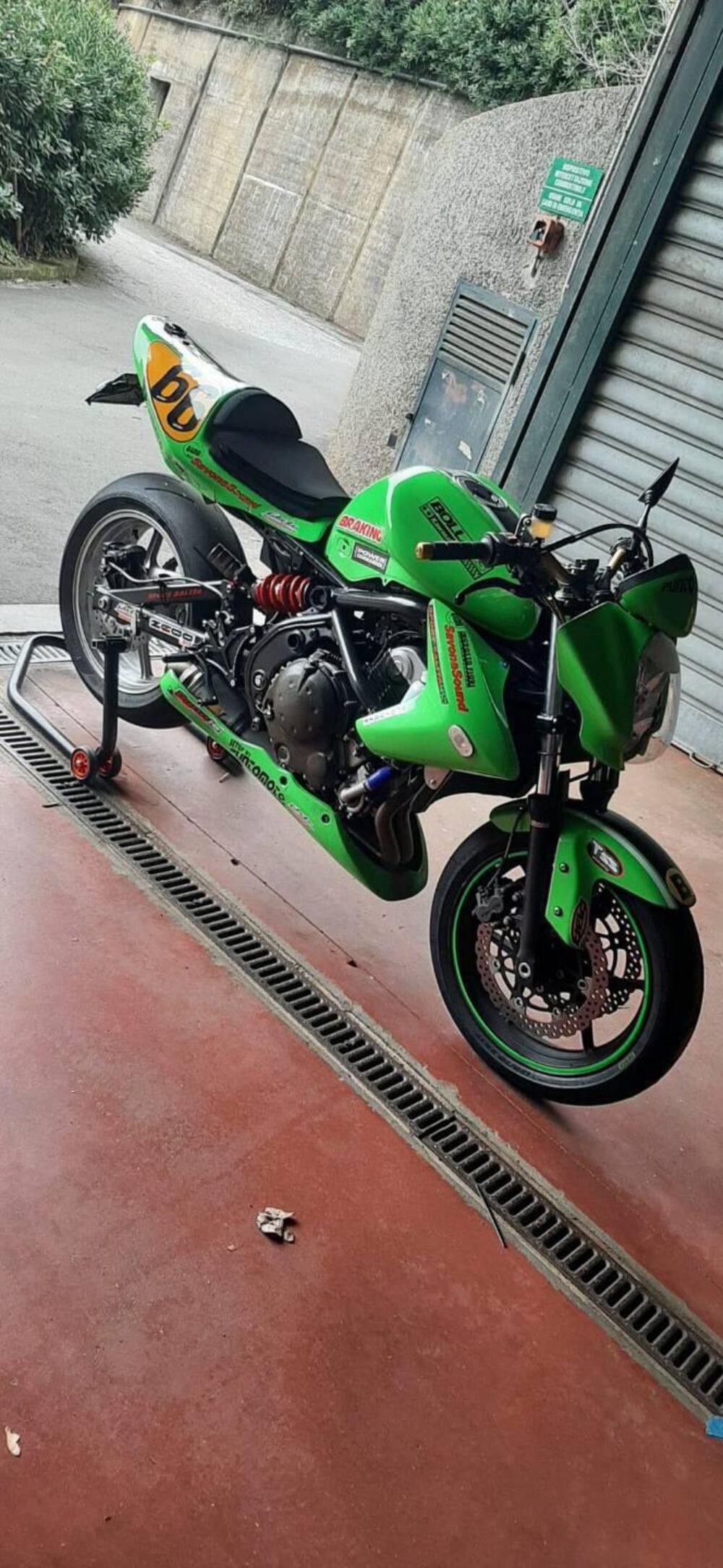 Kawasaki ER-6N (2006 - 09)