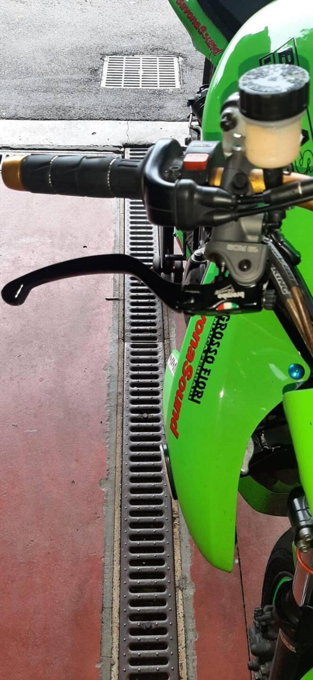 Kawasaki ER-6N (2006 - 09) (3)