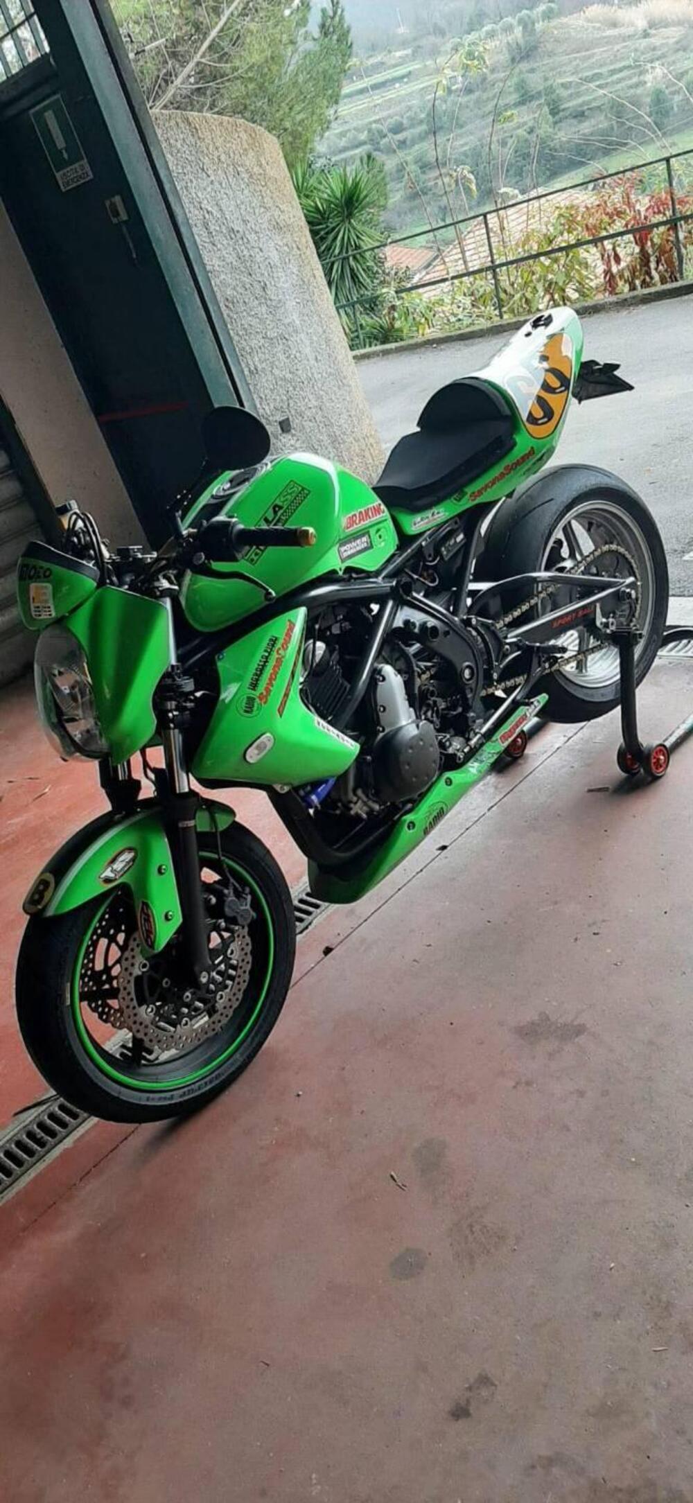 Kawasaki ER-6N (2006 - 09) (7)