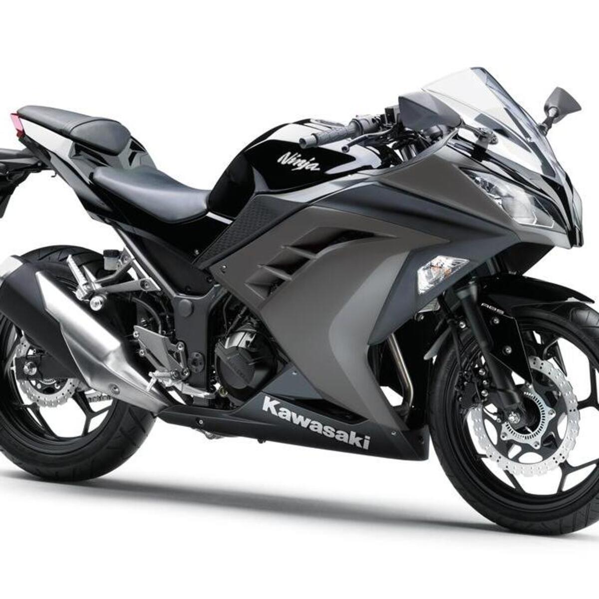 Kawasaki Ninja 300 (2012 - 14)