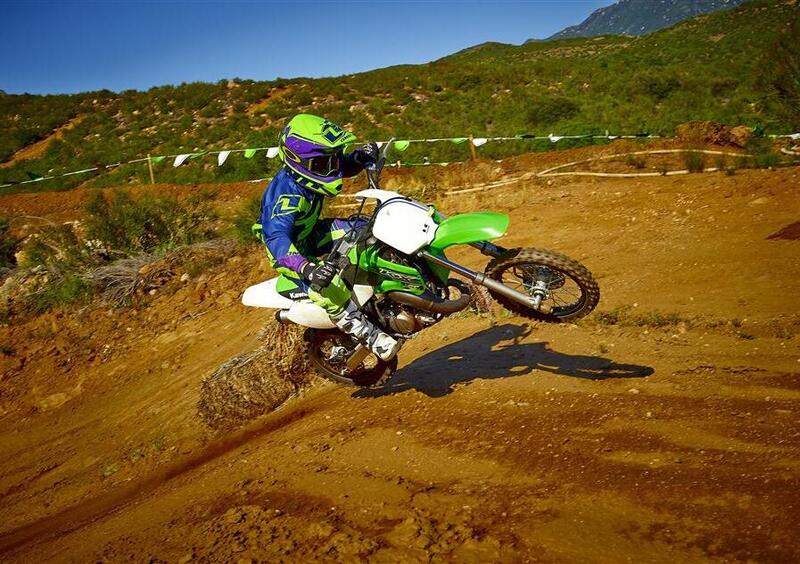 Kawasaki KX 65 KX 65 (2015) (11)