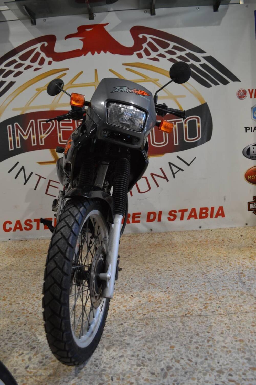 Honda Dominator 650 (2)