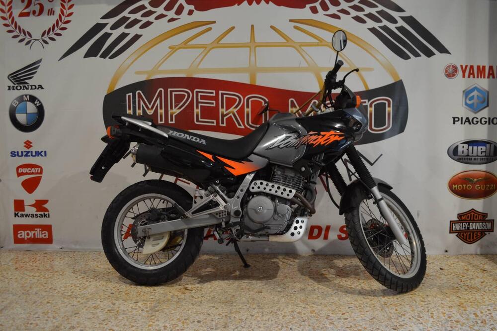 Honda Dominator 650 (3)