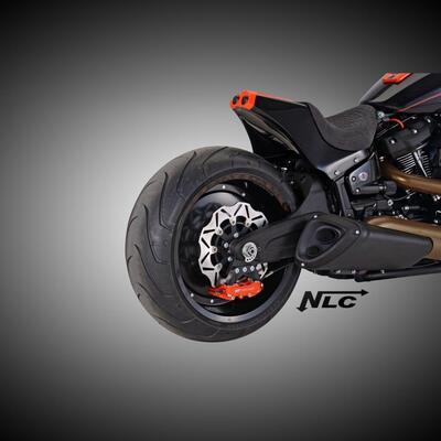 Parafango posteriore NLC Type D per Softail Breako 