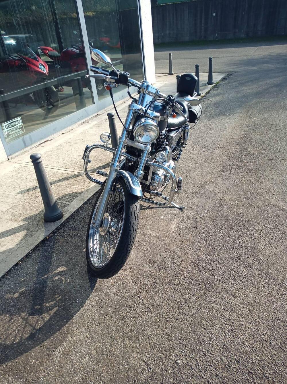 Harley-Davidson 1200 Custom (2001 - 03) - XL 1200C (3)