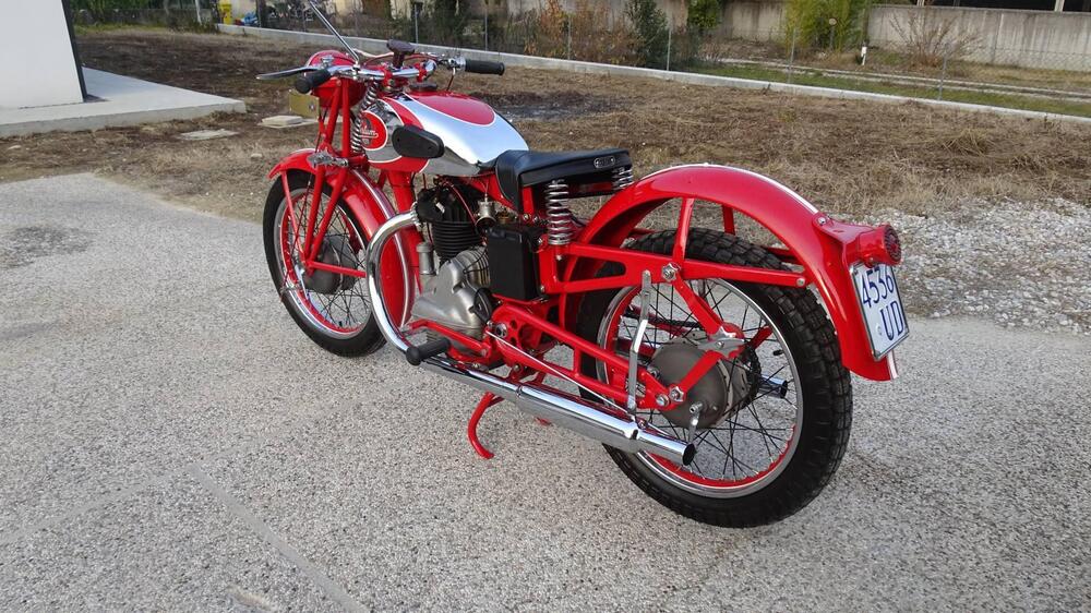 Sertum 250 CC VT4 (4)