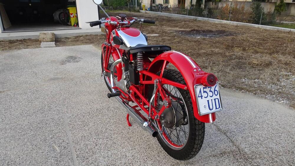 Sertum 250 CC VT4 (5)