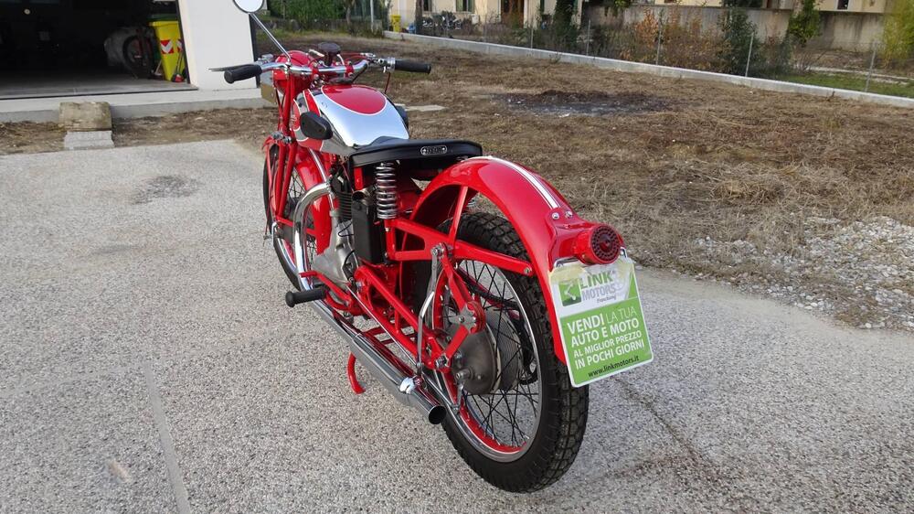 Sertum 250 CC VT4 (6)