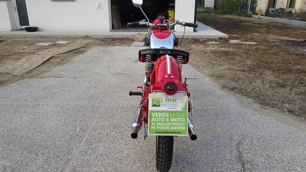 Sertum 250 CC VT4 (7)