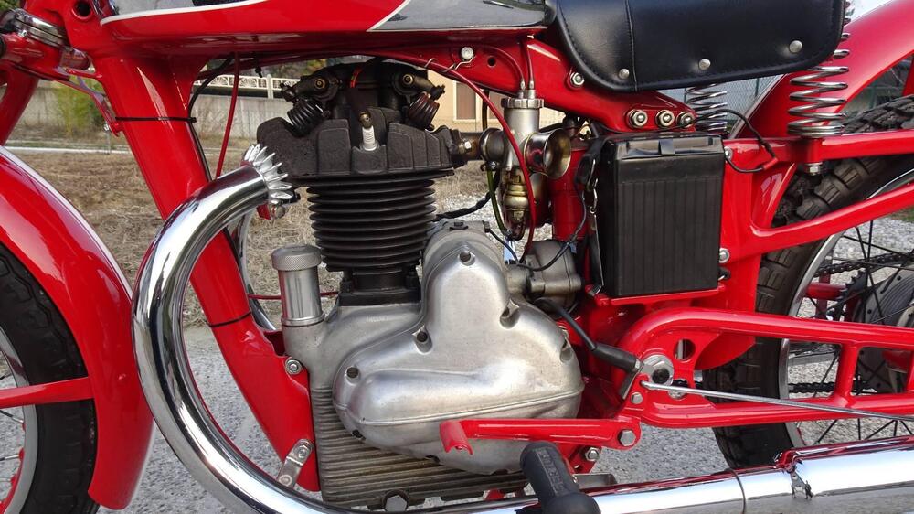 Sertum 250 CC VT4 (15)