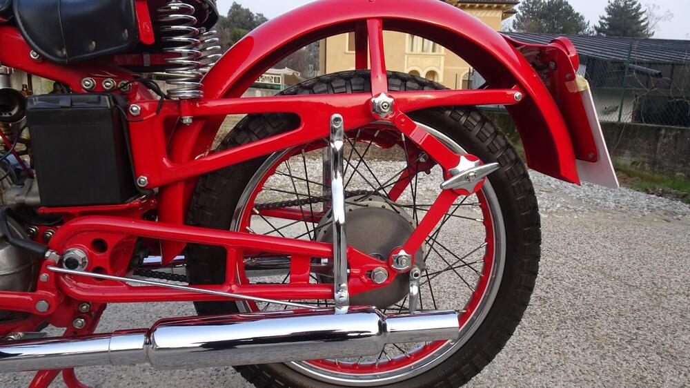 Sertum 250 CC VT4 (16)