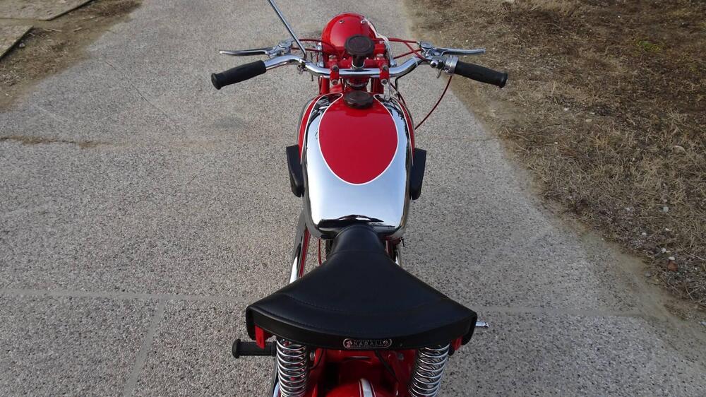 Sertum 250 CC VT4 (17)