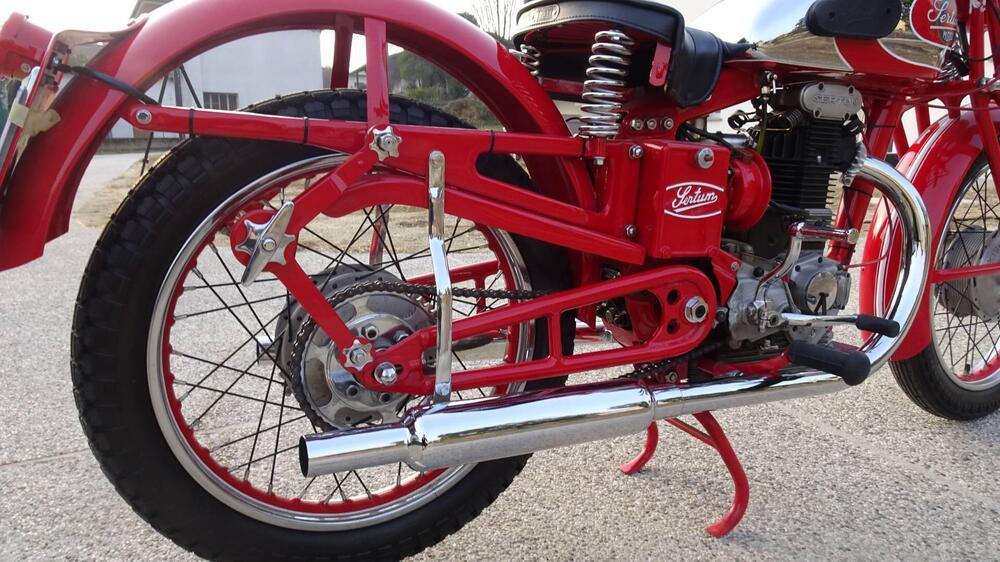 Sertum 250 CC VT4 (19)