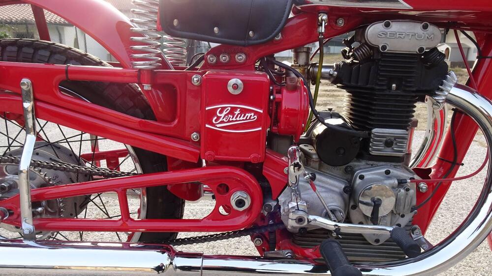 Sertum 250 CC VT4 (20)