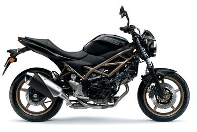 Suzuki SV650 (2021 - 24) nuova
