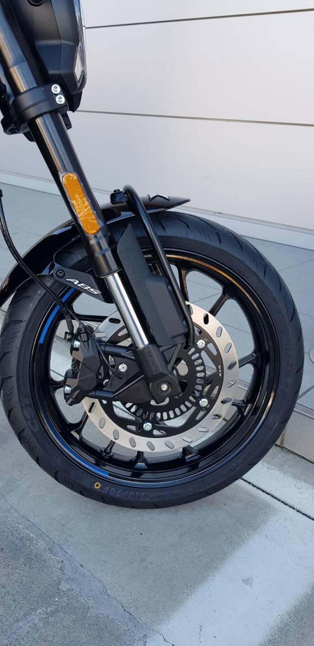 CFMOTO 300CL-X Heritage (2023 - 26) (7)