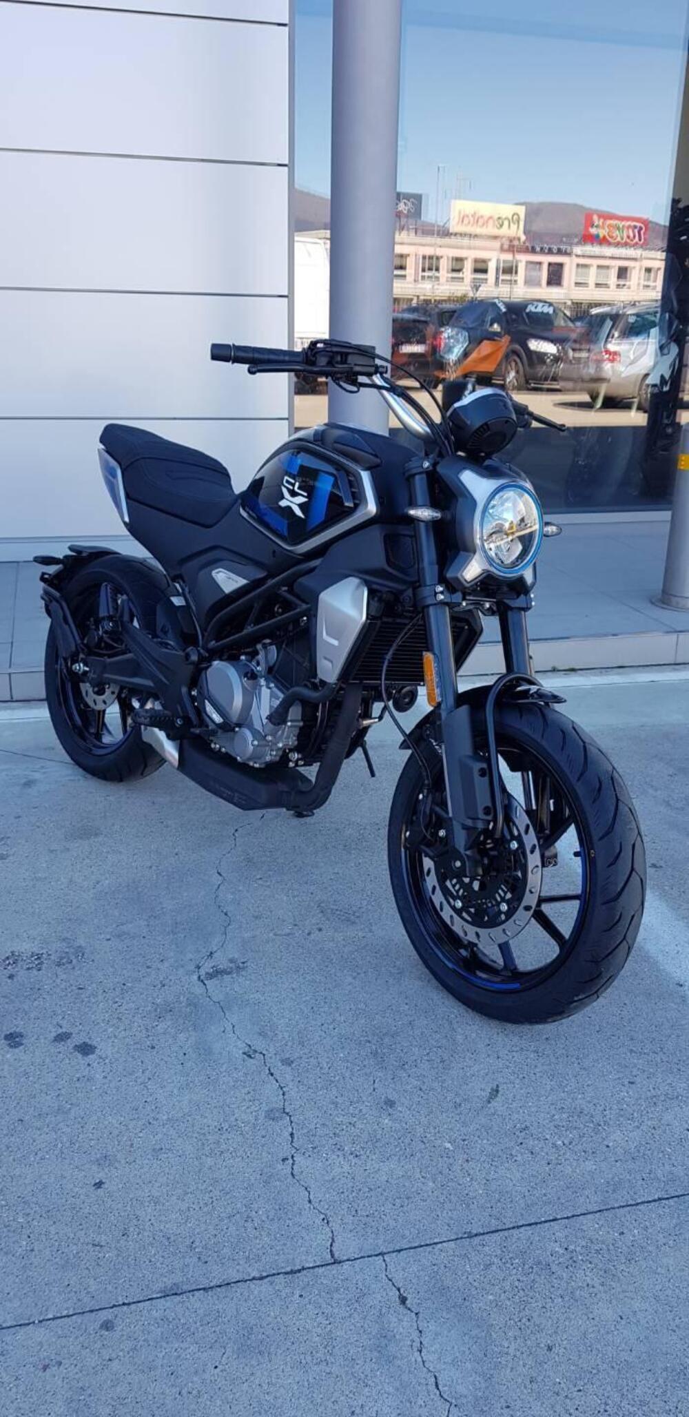 CFMOTO 300CL-X Heritage (2023 - 26) (3)