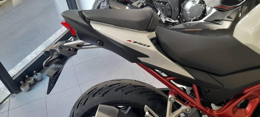 Honda CB 750 Hornet (2023 - 24) (4)