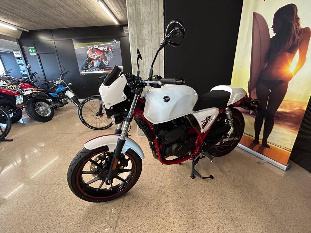 Sym Wolf CR 300 (2019 - 20) (3)