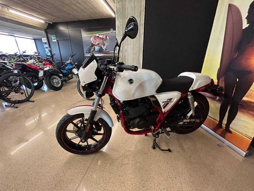 Sym Wolf CR 300 (2019 - 20) (4)