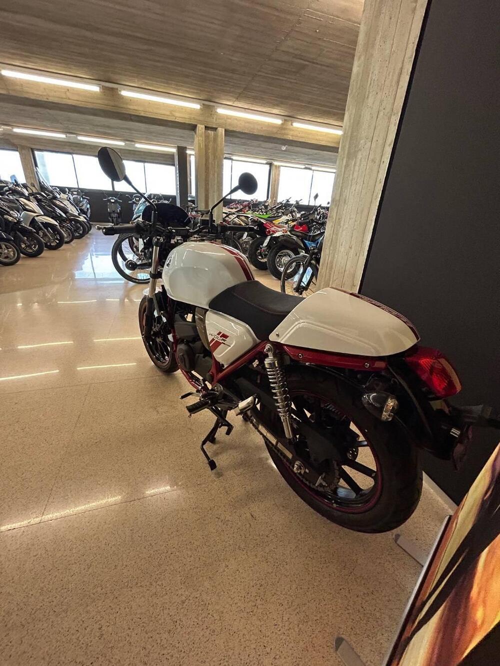 Sym Wolf CR 300 (2019 - 20) (9)