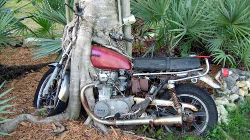 Bollo per moto e auto storiche. Il patrimonio andr&agrave; distrutto o finir&agrave; all&#039;estero?