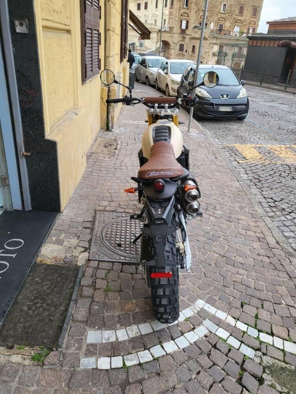 Fantic Motor Caballero 500 Rally (2021 - 23) (4)