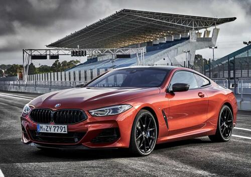 BMW Serie 8 Coup&eacute; (2018--&gt;&gt;)