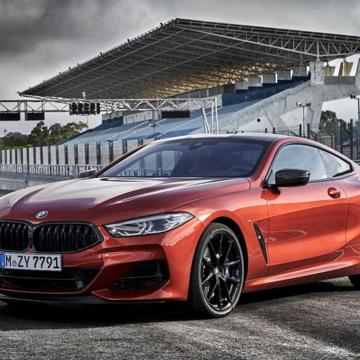 BMW Serie 8 Coup&eacute; (2018--&gt;&gt;)