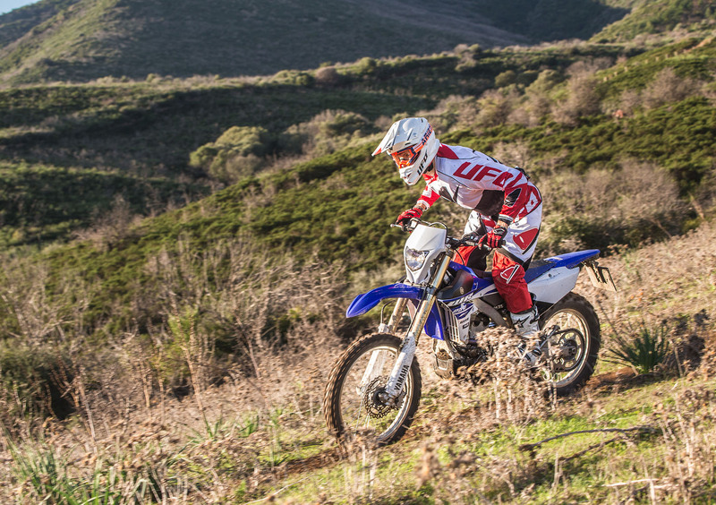 Yamaha WR 250 F WR 250 F (2015) (16)