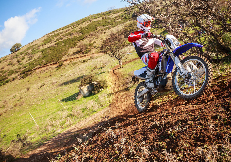 Yamaha WR 250 F WR 250 F (2015) (18)