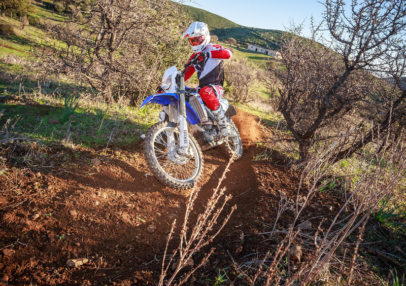 Yamaha WR 250 F WR 250 F (2015) (19)