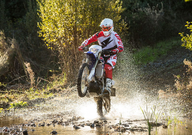 Yamaha WR 250 F WR 250 F (2015) (20)