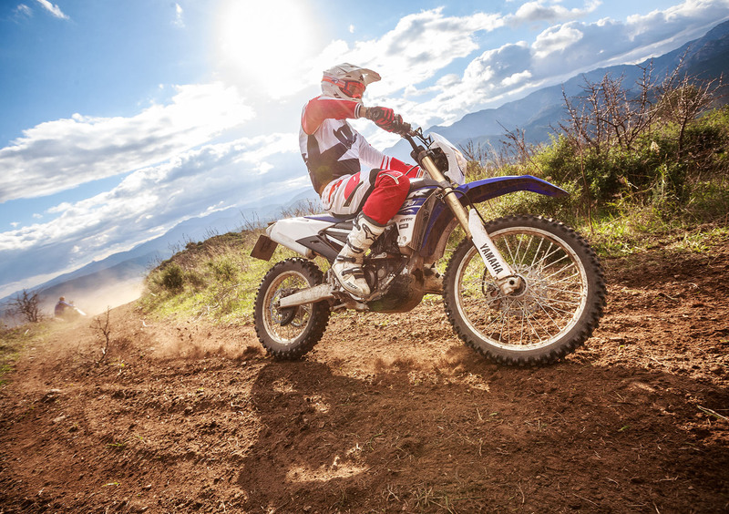 Yamaha WR 250 F WR 250 F (2015) (21)