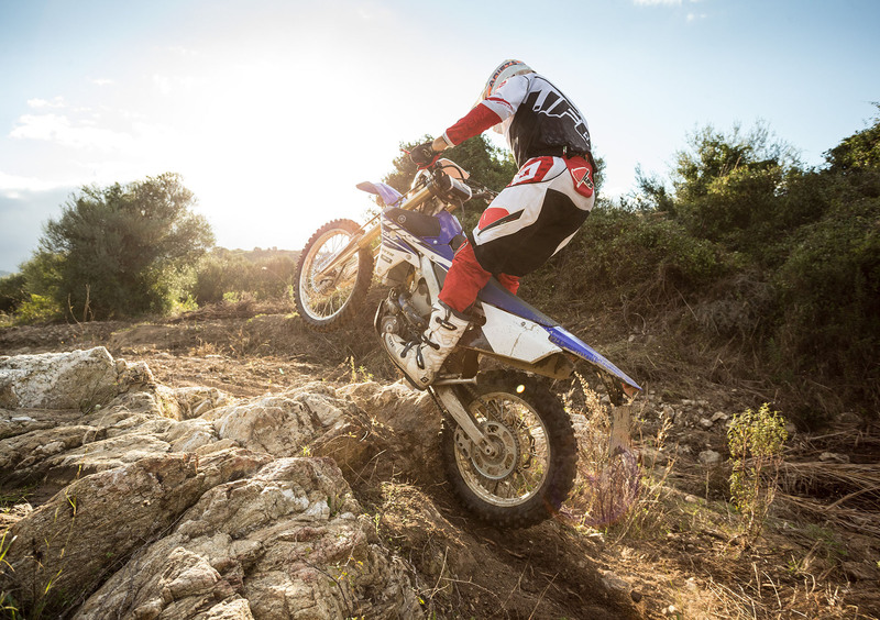 Yamaha WR 250 F WR 250 F (2015) (22)