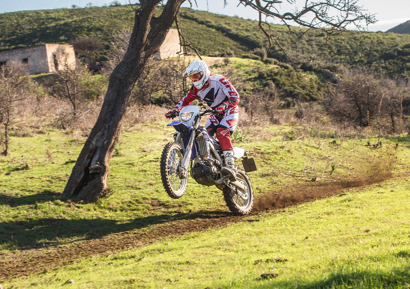 Yamaha WR 250 F WR 250 F (2015) (24)