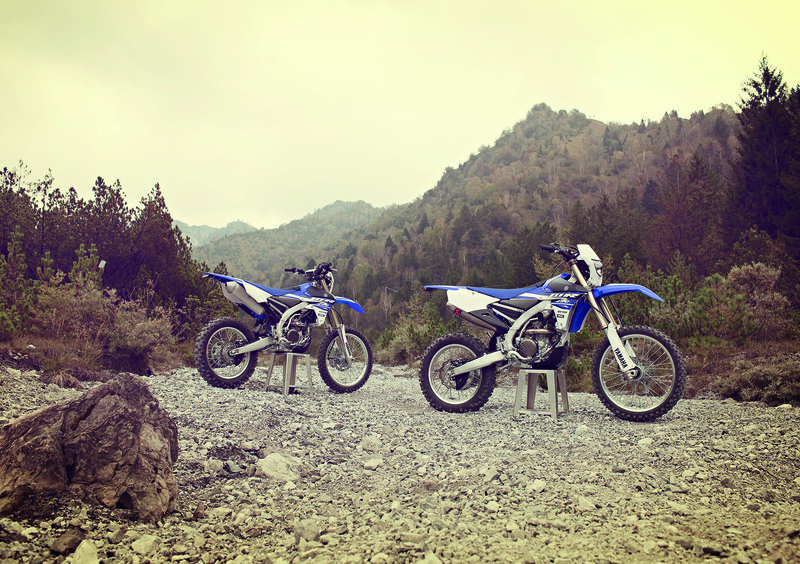 Yamaha WR 250 F WR 250 F (2015) (29)