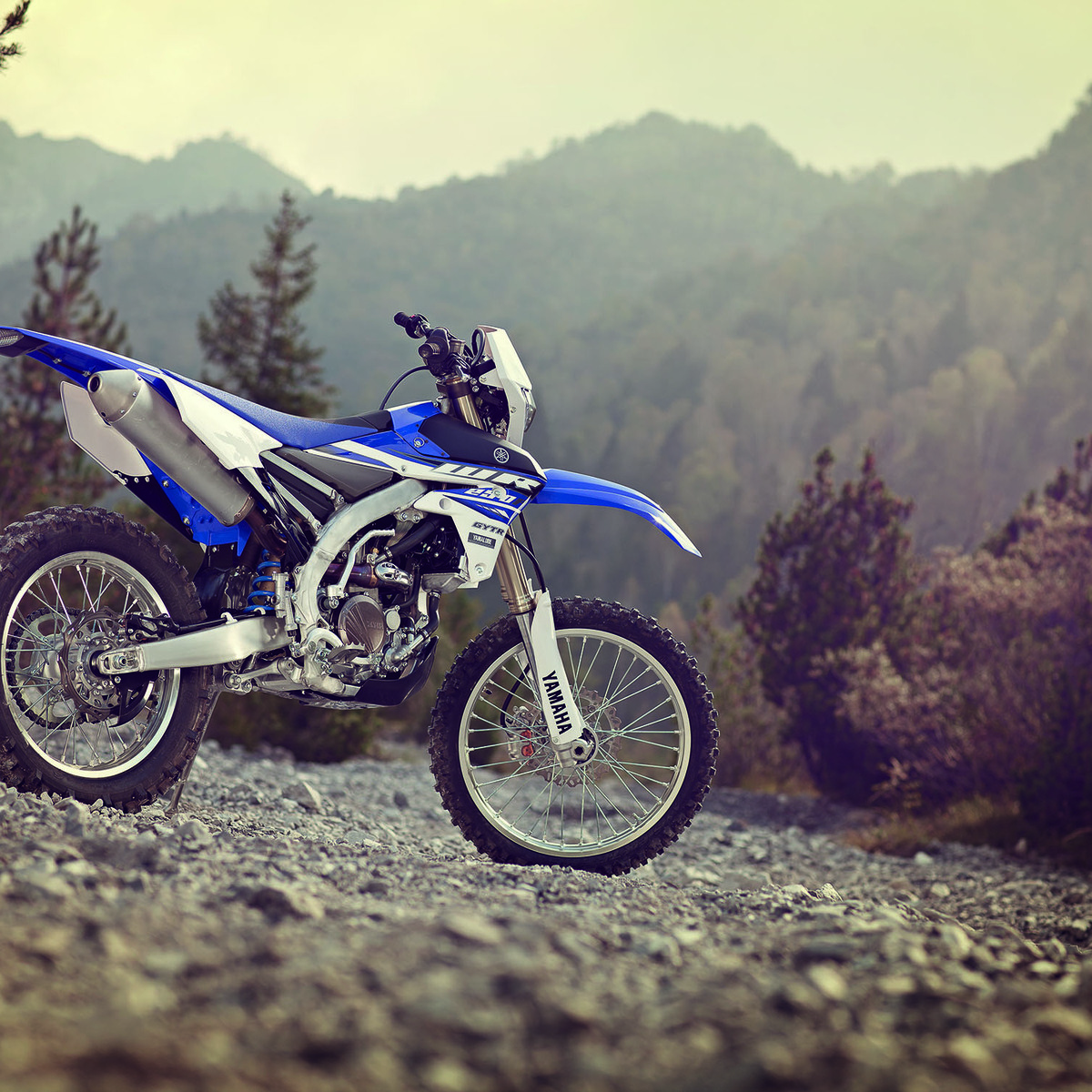 Yamaha WR 250 F (2015)