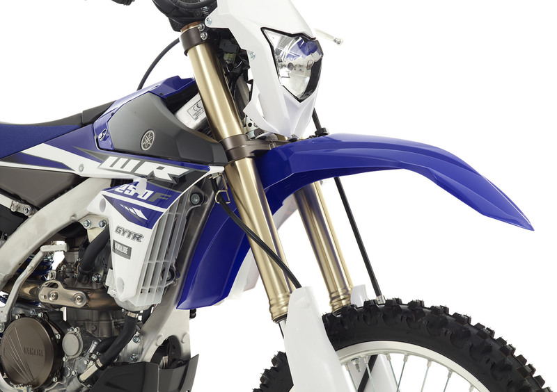 Yamaha WR 250 F WR 250 F (2015) (11)