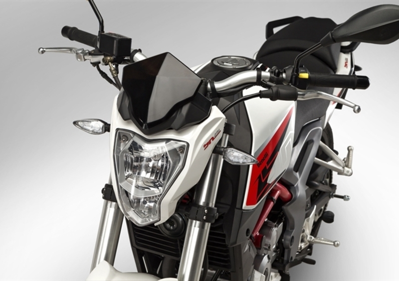 Benelli BN 251 BN 251 (2015 - 16) (3)